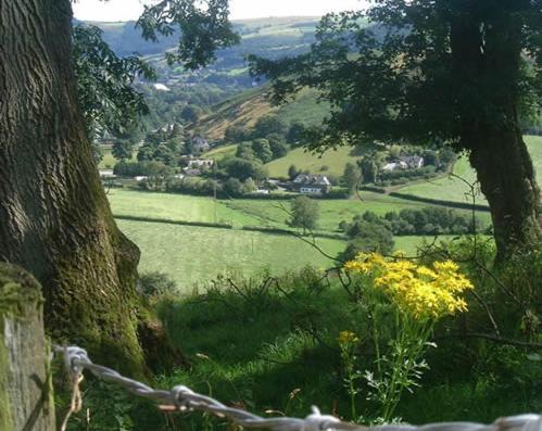 Horseshoe Pass Holiday Lets Лланголлен Номер фото